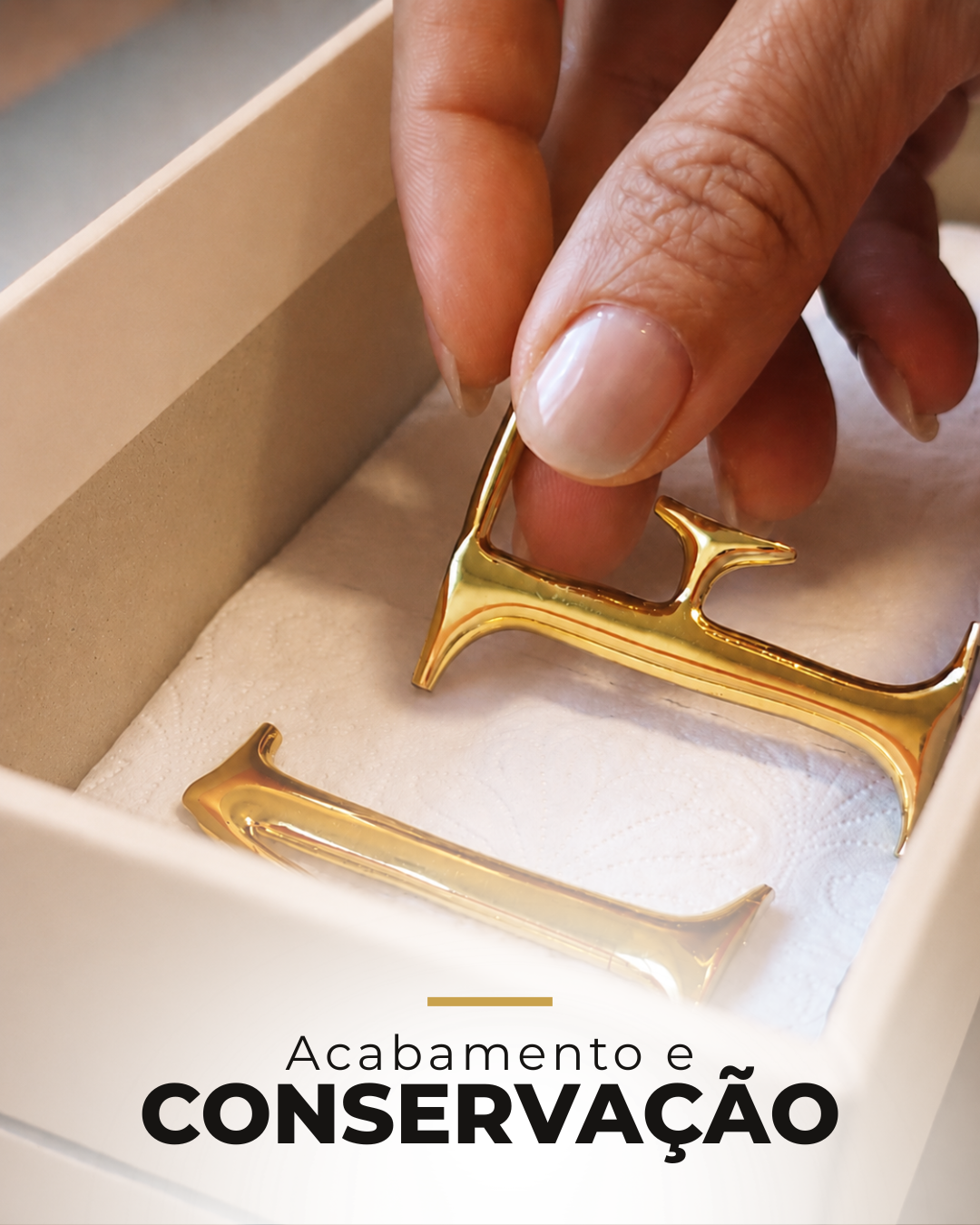 Elementos da LP (55)
